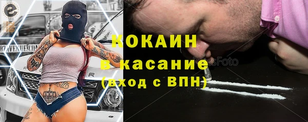 прущие грибы Алзамай